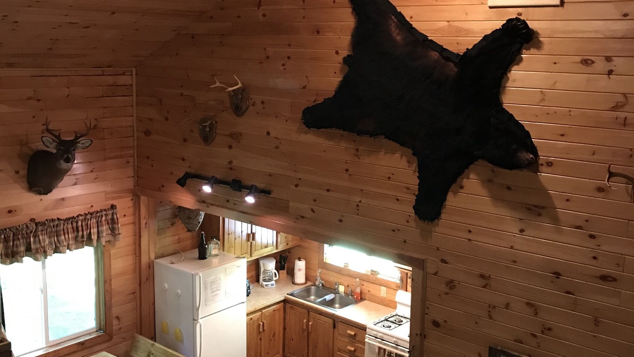 Photo of Others in Schenevus