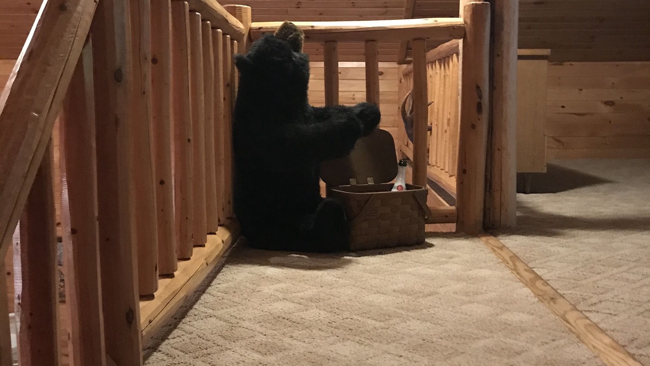 Photo of Others in Schenevus