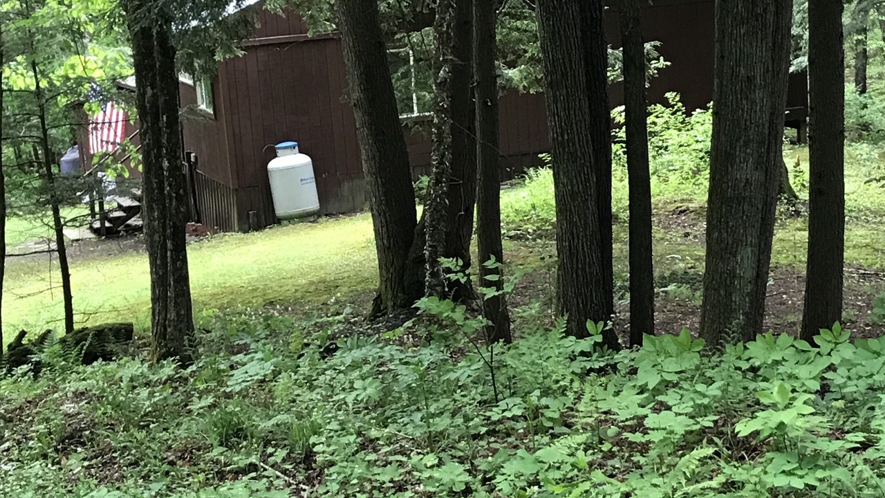 Photo of Outdoor in Schenevus