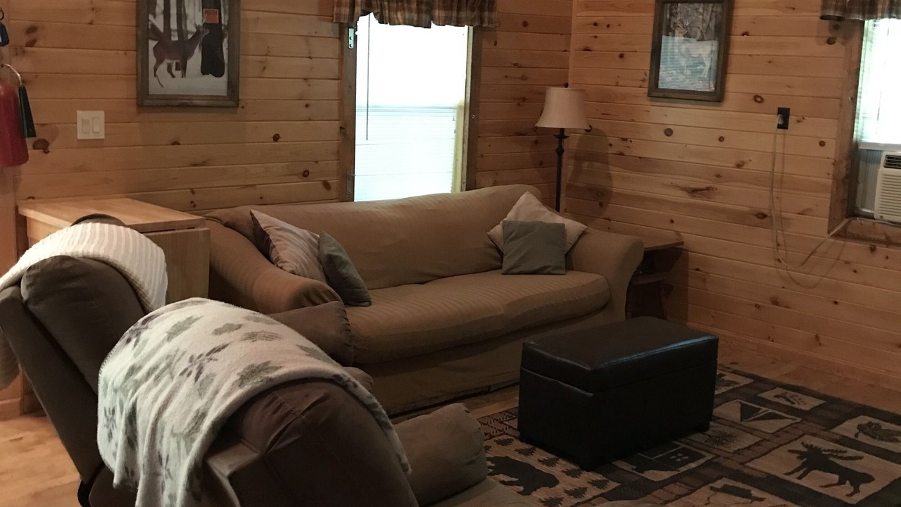 Photo of Livingroom in Schenevus