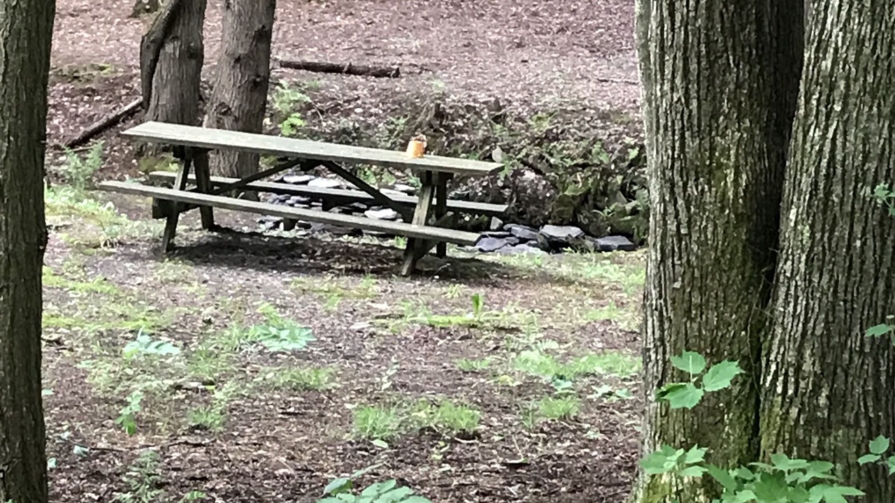 Photo of Others in Schenevus