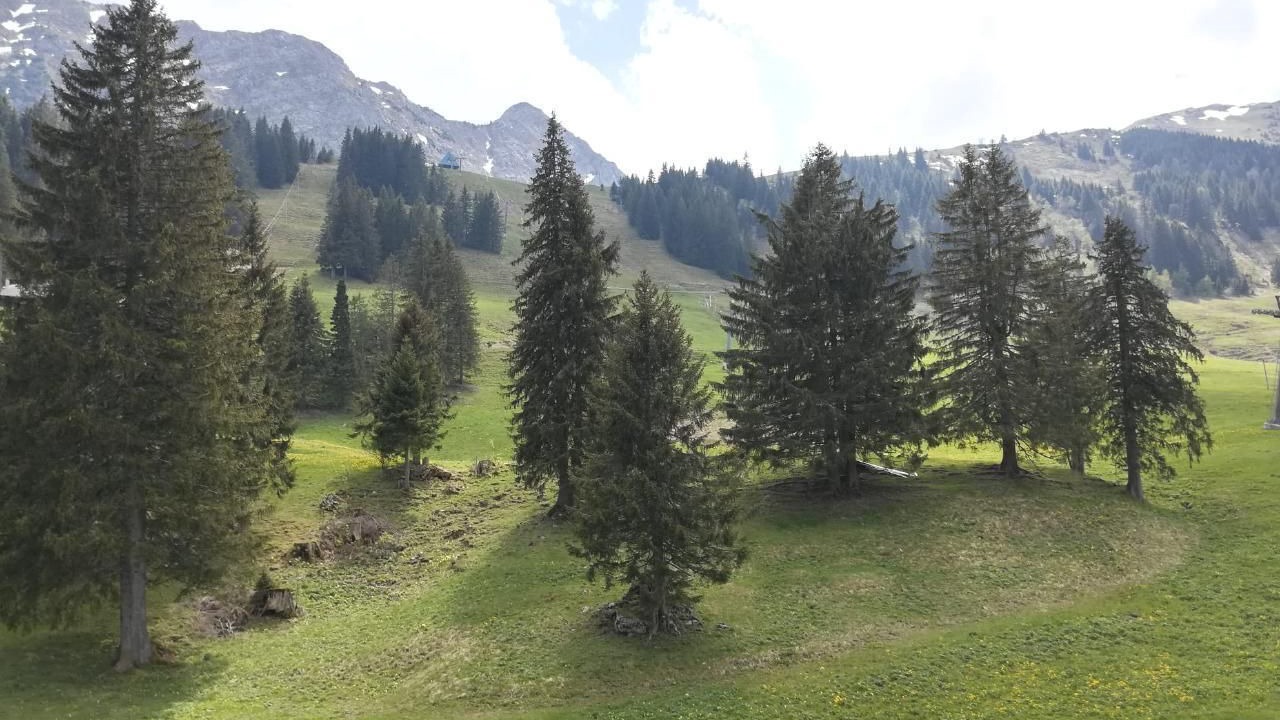 Photo of Others in Giswil