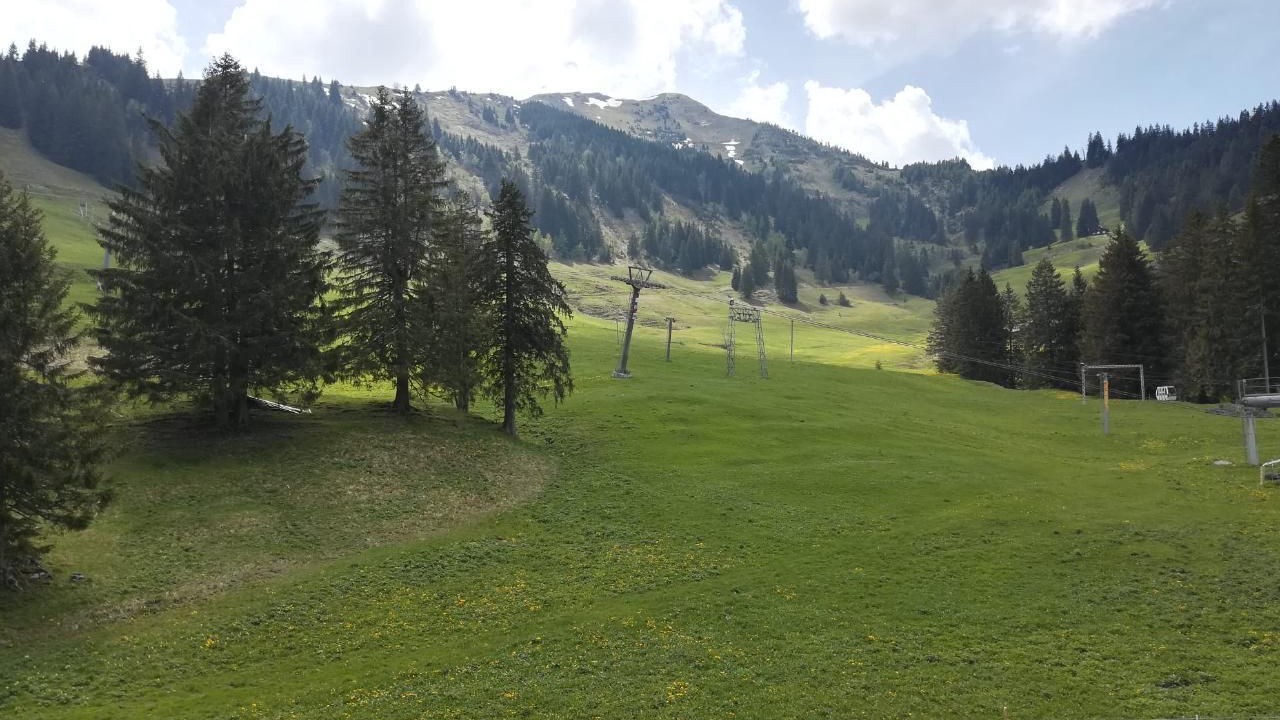 Photo of Others in Giswil