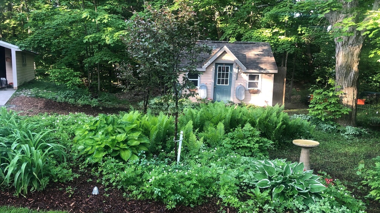 Photo of Outdoor in Lake Ann