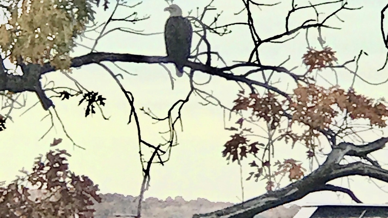 Photo of Others in Eucha