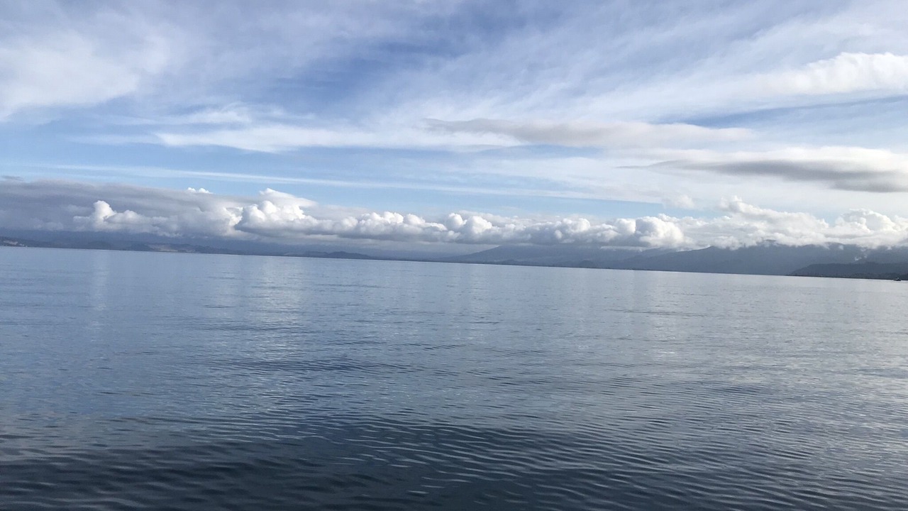 Photo of Others in Whareroa Village