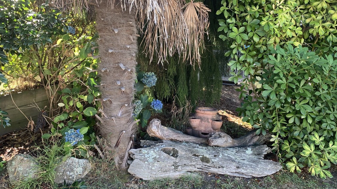 Photo of Outdoor in Whareroa Village