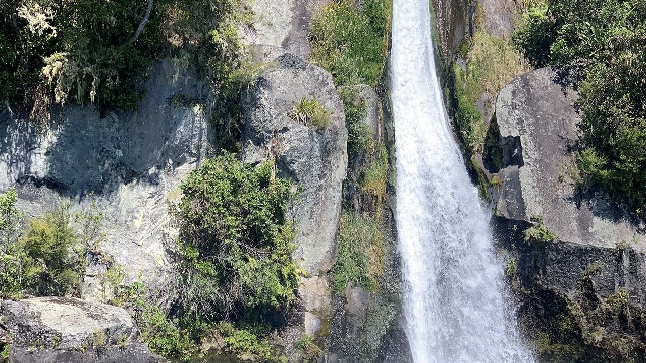 Photo of Others in Whareroa Village