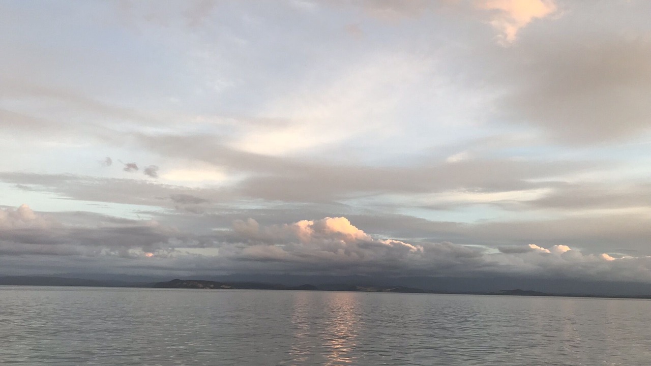 Photo of Others in Whareroa Village