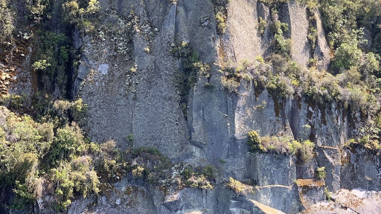 Photo of Outdoor in Whareroa Village