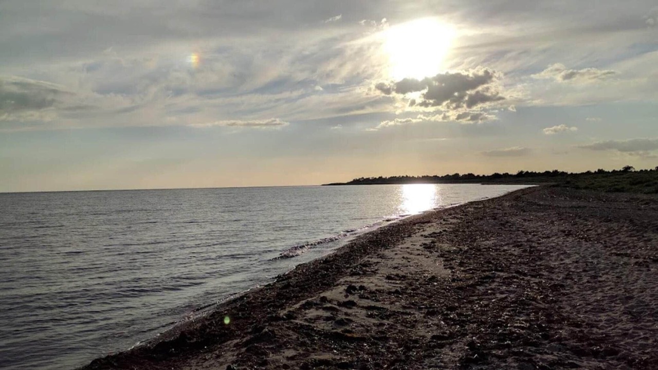 Photo of Others in Dannemare
