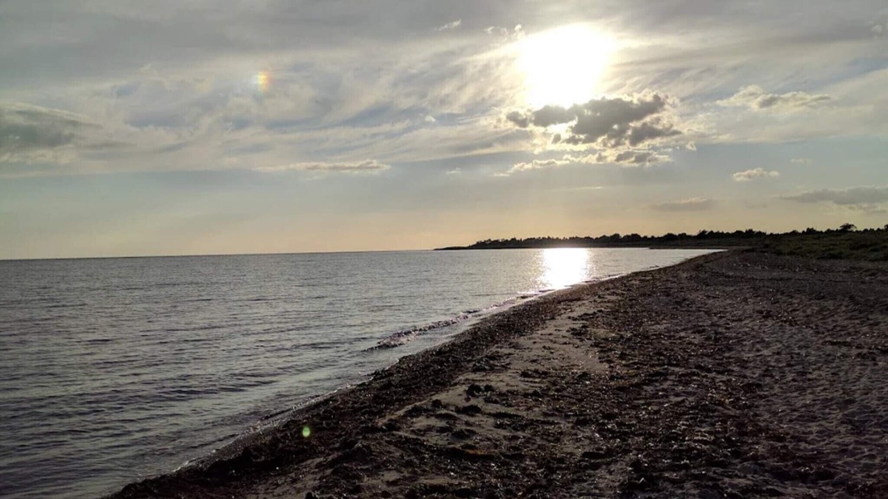 Photo of Others in Dannemare