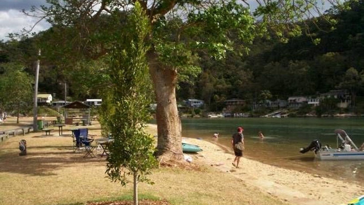 Photo of Others in Patonga