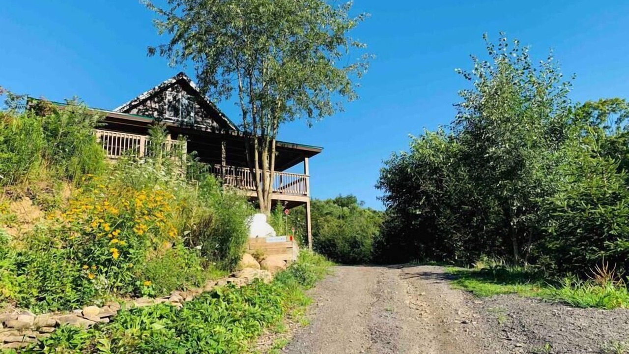 Photo of Outdoor in Cherry Creek