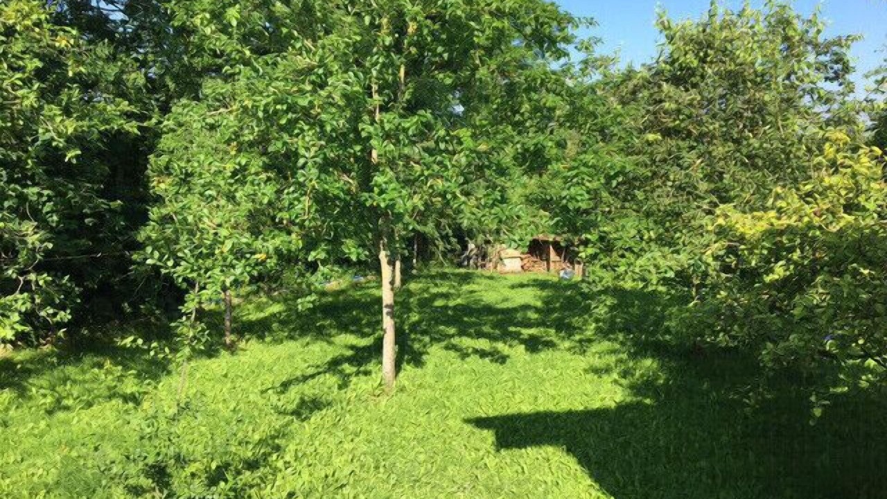 Photo of Outdoor in Clais