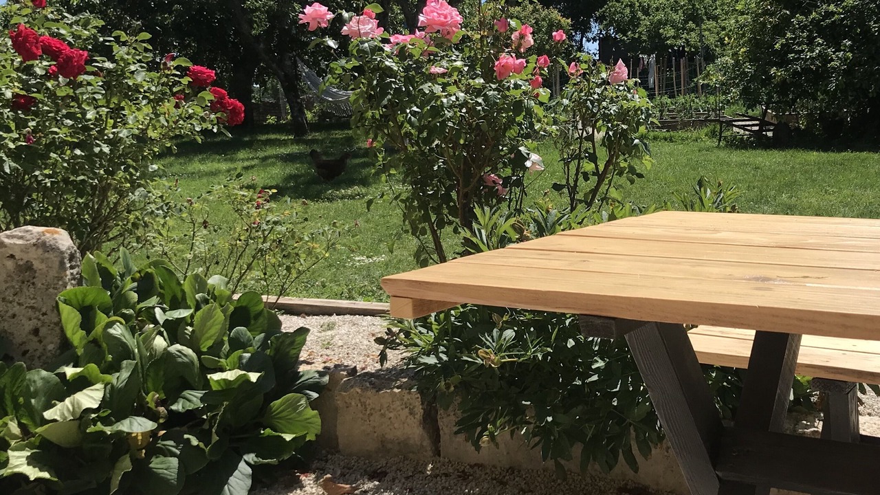 Photo of Outdoor in Mosson