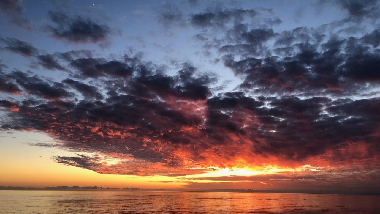 Photo of Others in San Onofre