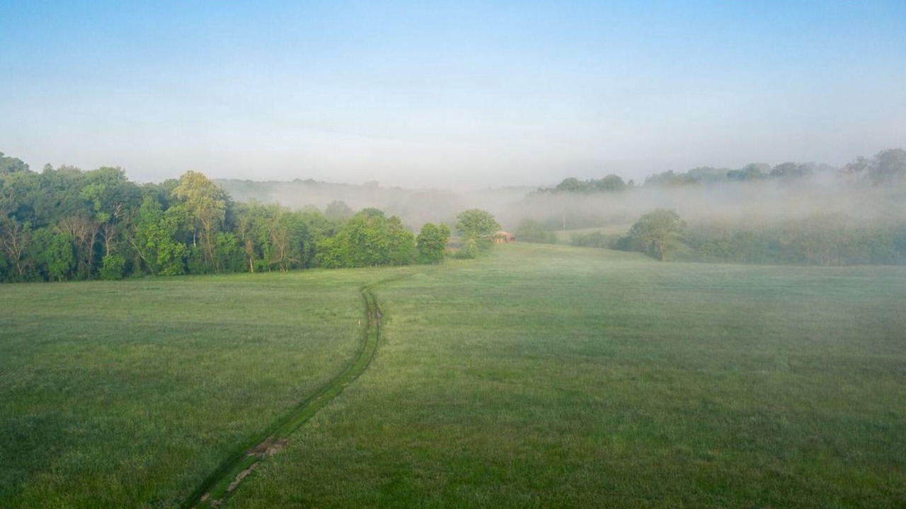 Photo of Others in Steelville