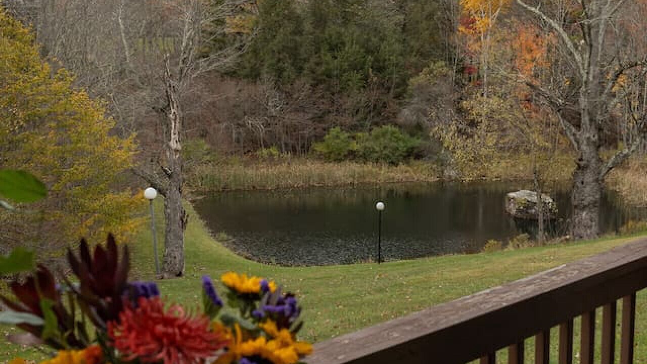 Photo of Outdoor in East Jewett