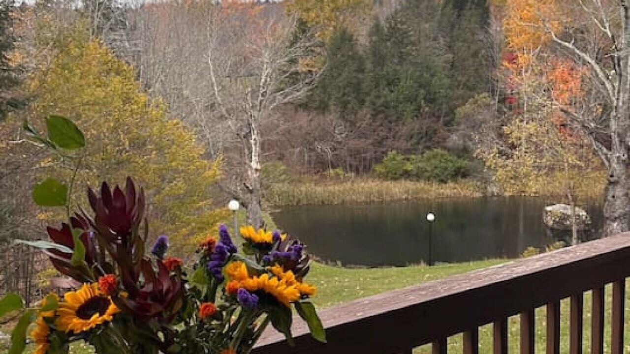 Photo of Outdoor in East Jewett