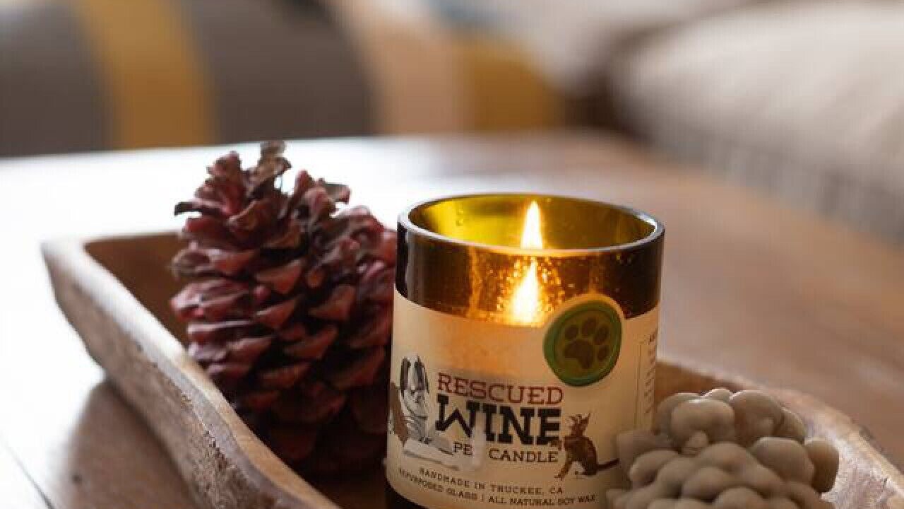 Photo of Others in East Jewett