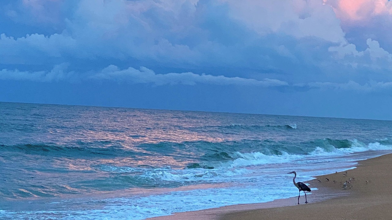 Photo of Others in Painters Hill