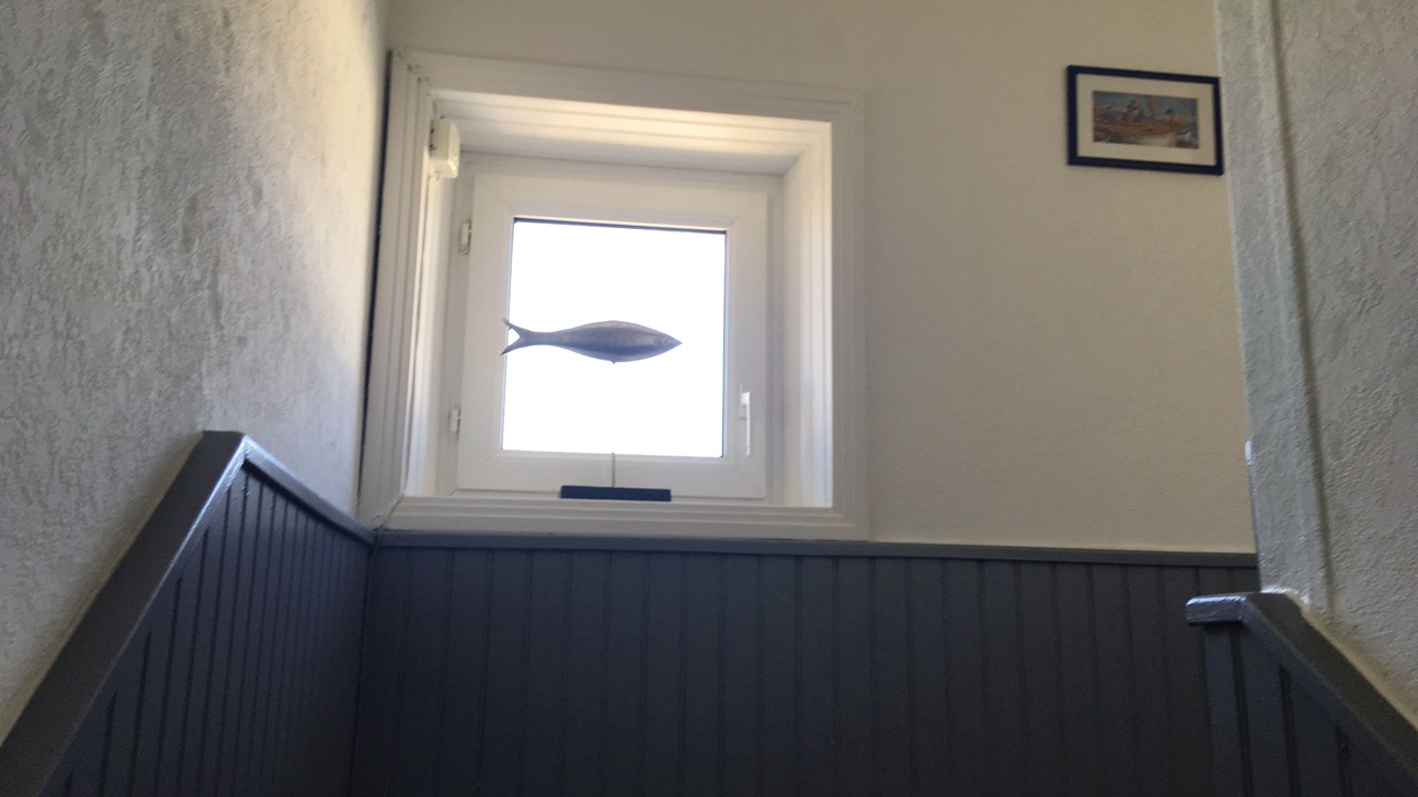 Photo of Others in Saint-Guenole