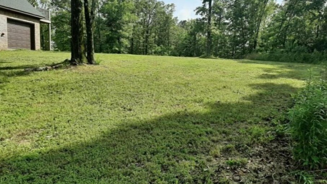 Photo of Outdoor in Center Ridge
