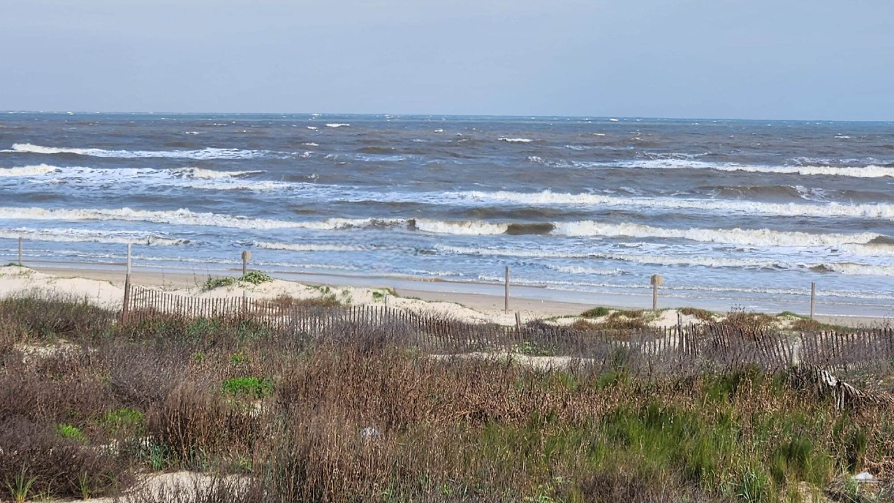 Photo of Others in Surfside Beach