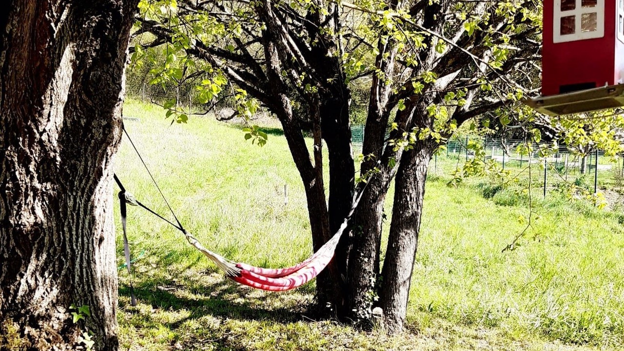 Photo of Outdoor in Muret