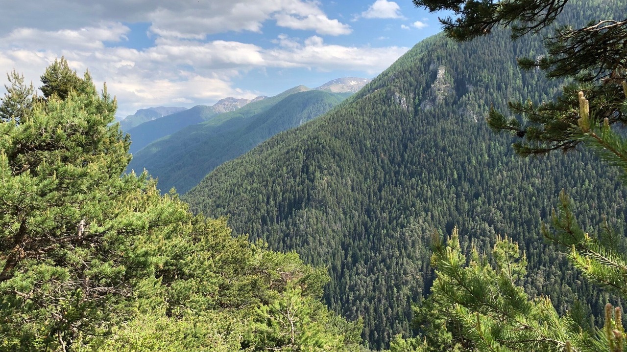 Photo of Outdoor in Saint-Etienne-de-Tinee