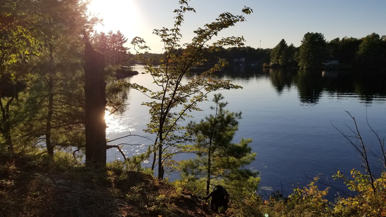Photo of Outdoor in Sebright