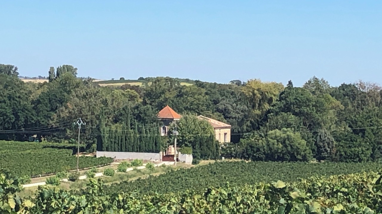 Photo of Others in Alzonne