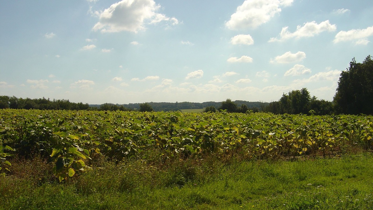 Photo of Outdoor in Obterre