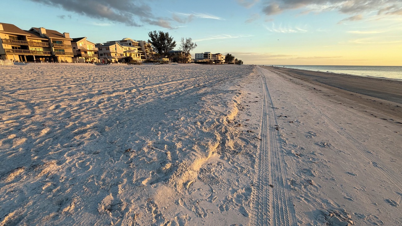 Photo of Others in Indian Shores