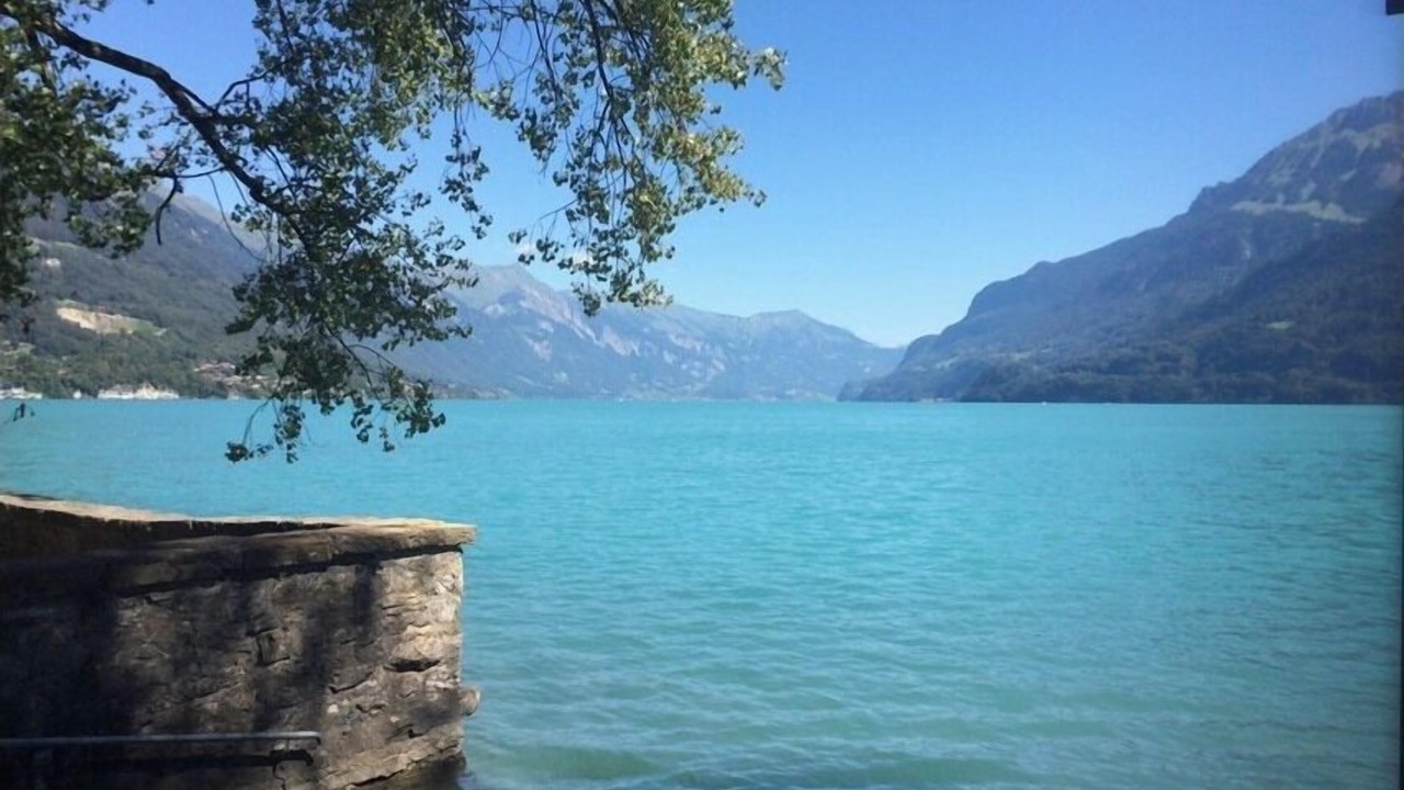 Photo of Others in Boenigen