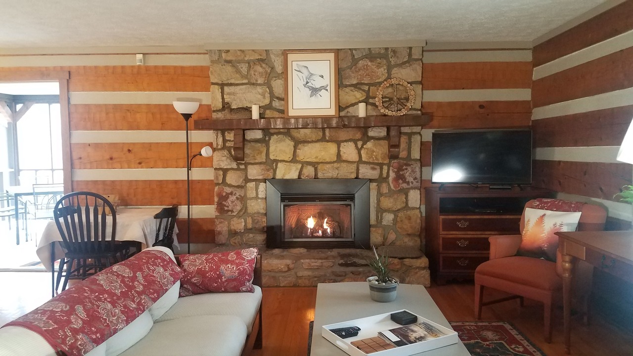 Photo of Livingroom in Shenandoah