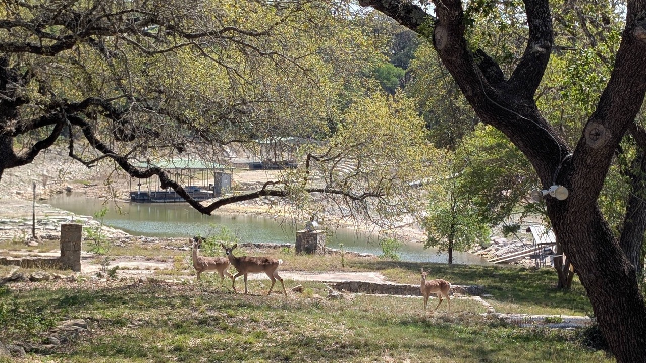 Photo of Outdoor in Hudson Bend