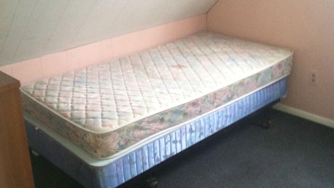 Photo of Others in Manasquan