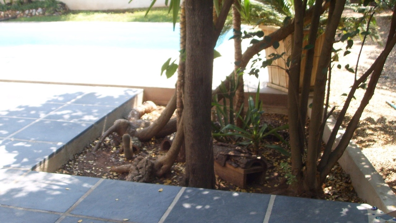 Photo of Outdoor in La Seyne-sur-Mer