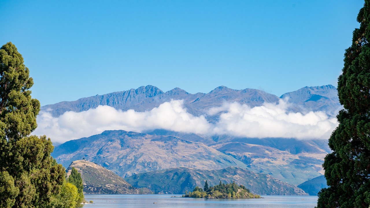 Photo of Others in Wanaka
