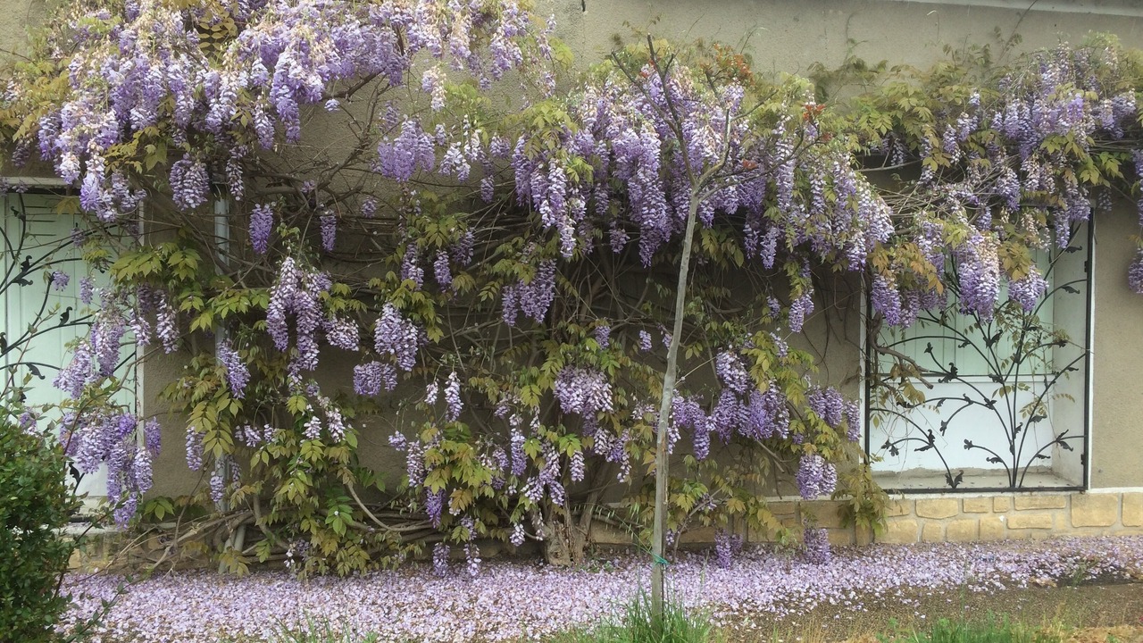 Photo of Outdoor in Roaix