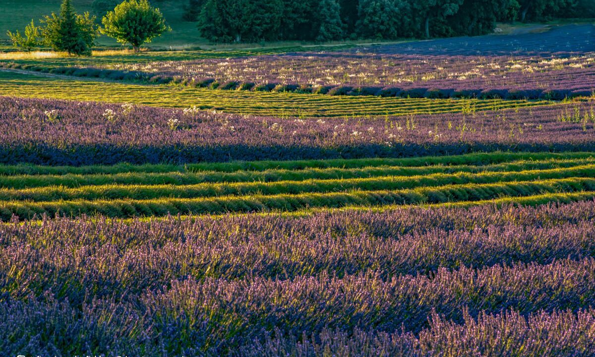 Photo of Outdoor in Roaix