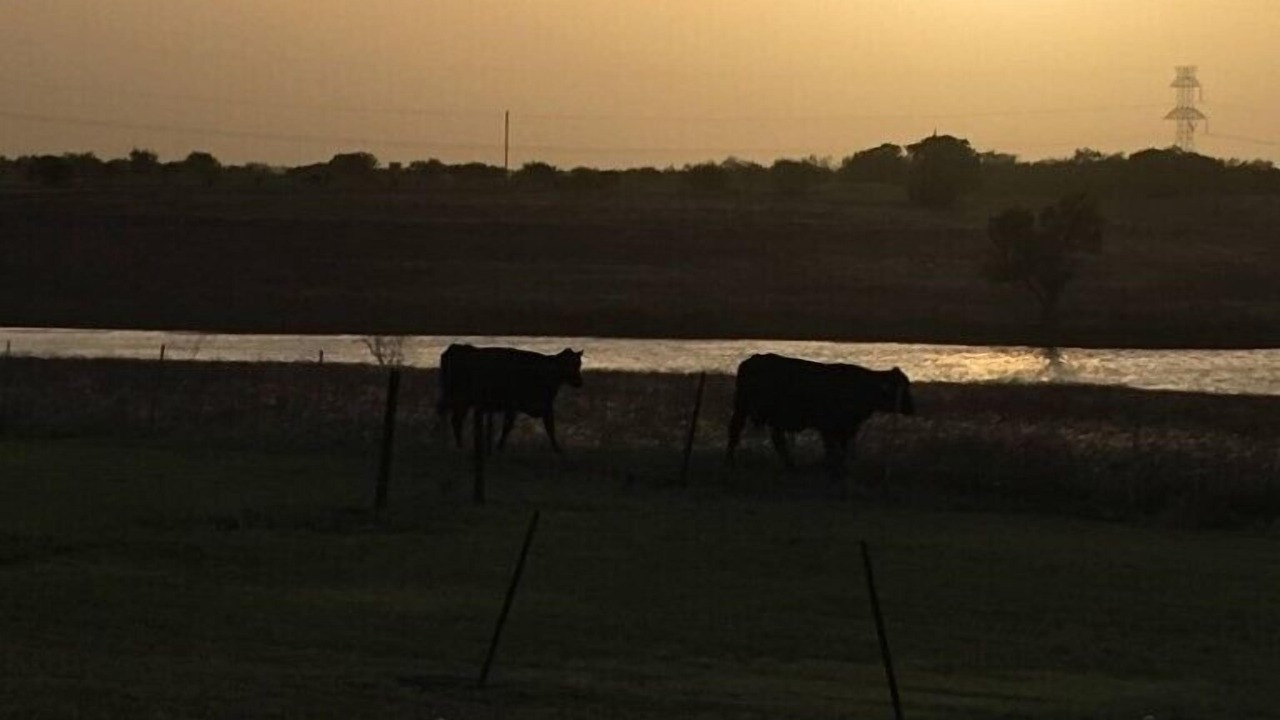 Photo of Others in Perry