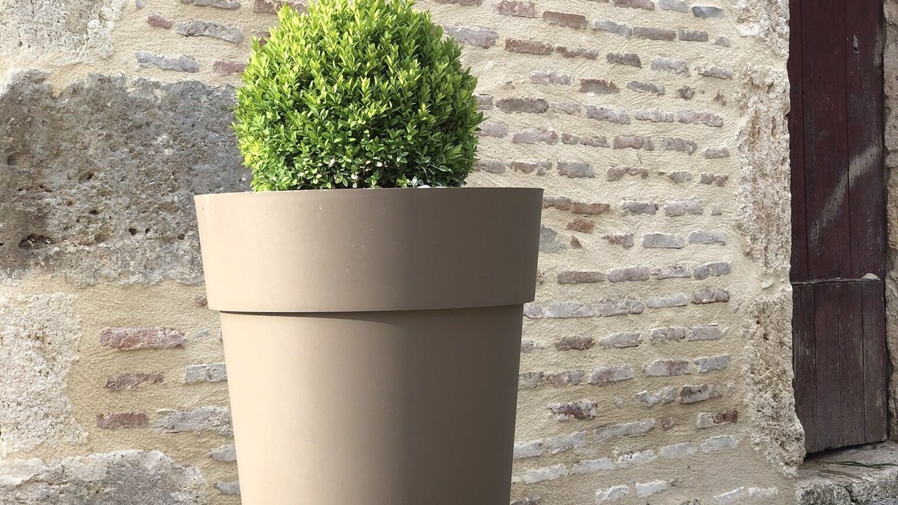 Photo of Outdoor in Le Temple-sur-Lot