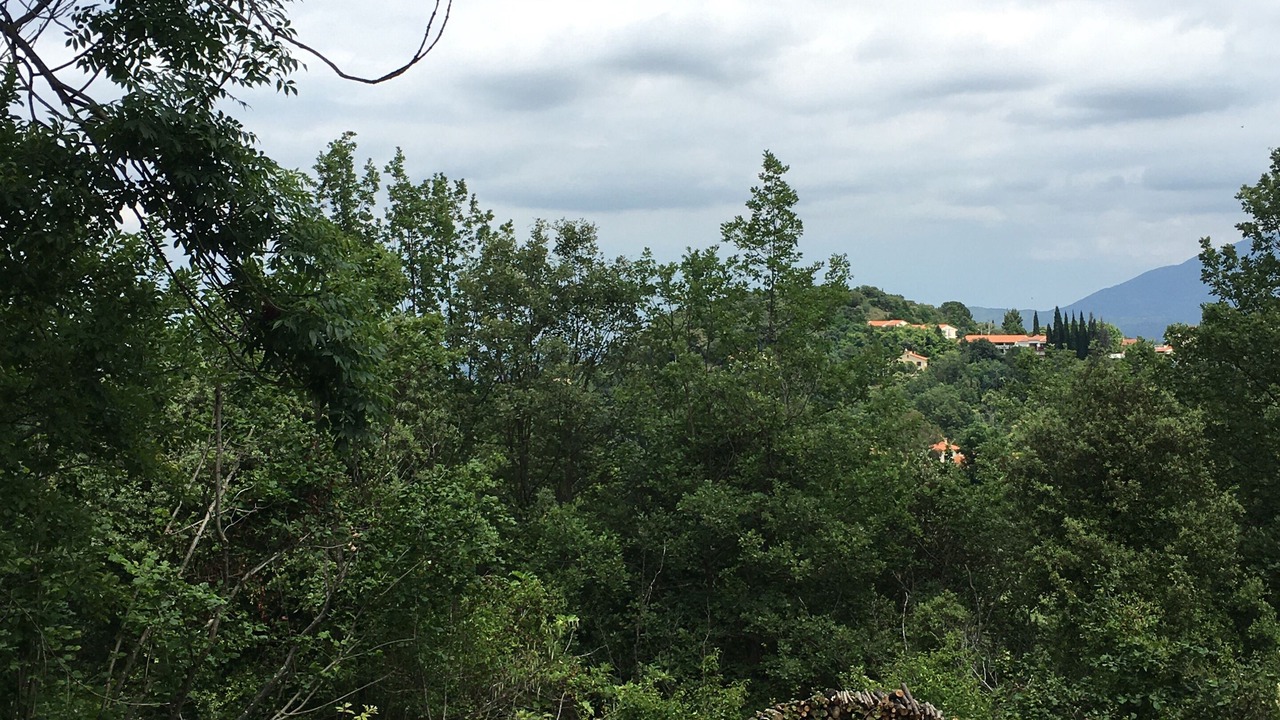 Photo of Outdoor in Ceret