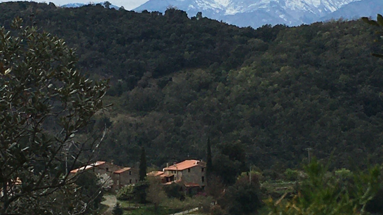 Photo of Outdoor in Ceret