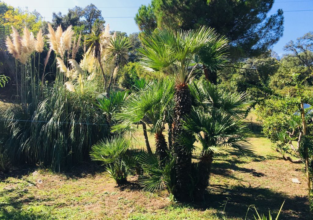 Photo of Outdoor in Santa-Maria-Poggio