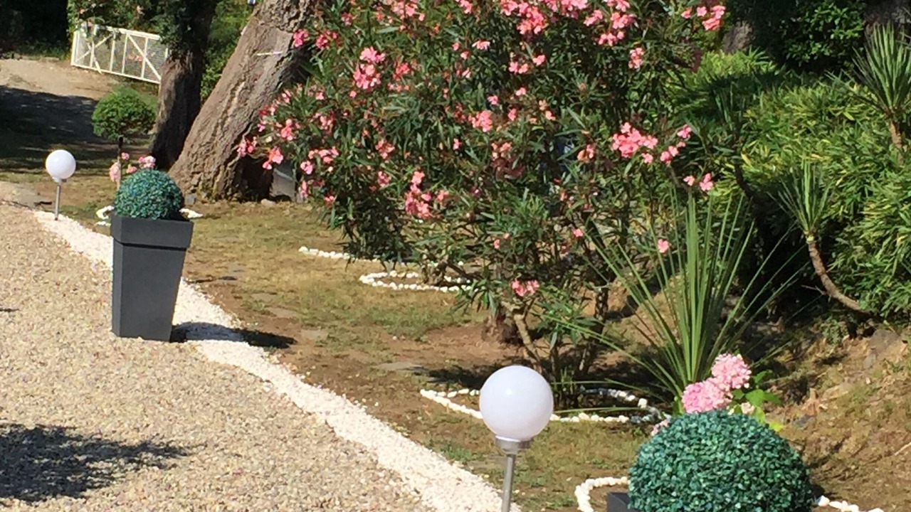 Photo of Outdoor in Santa-Maria-Poggio