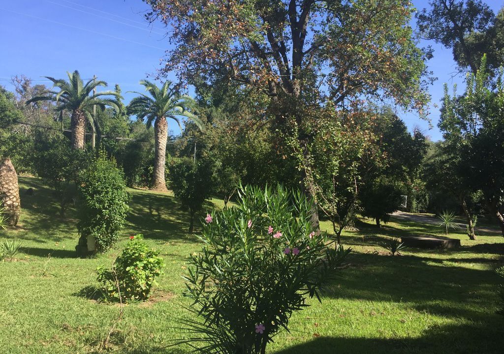 Photo of Outdoor in Santa-Maria-Poggio